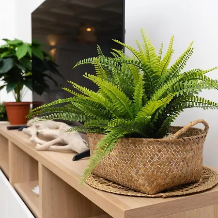 Lejlighed La Ruelle Olbia